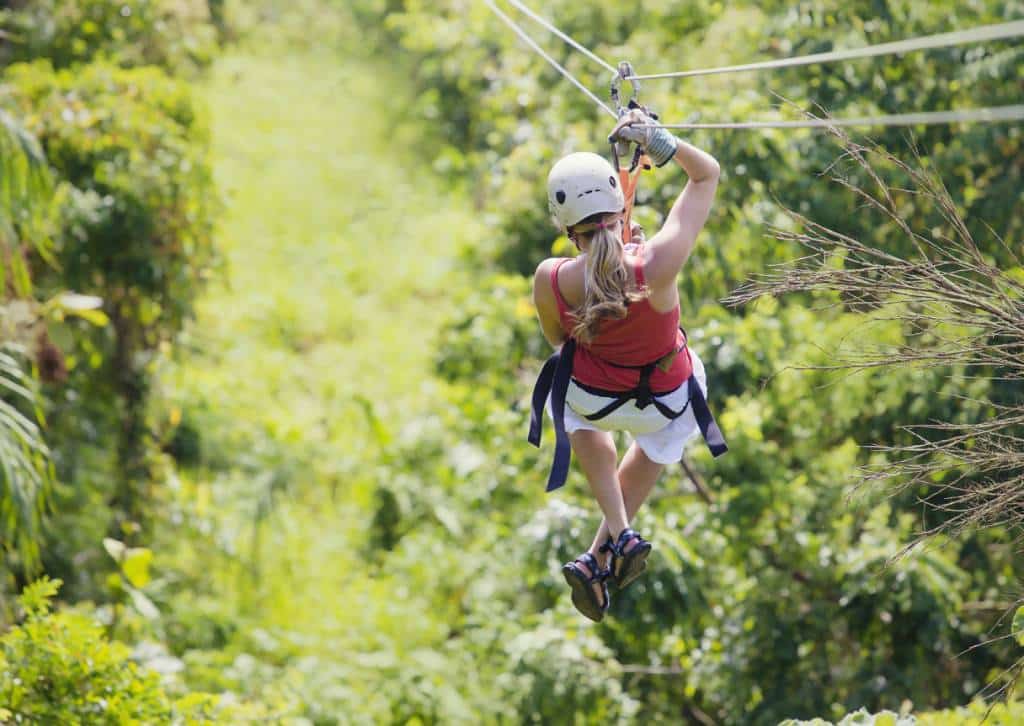 accrobranche team building séminaire